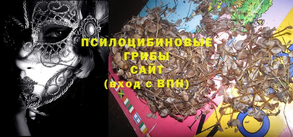 спиды Майский