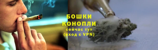 крисы Магадан