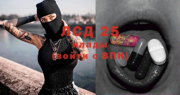 крисы Магадан