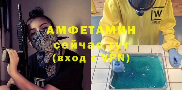 шишки Лагань