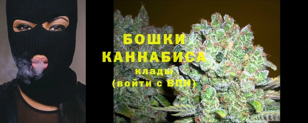 крисы Магадан