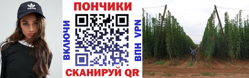 Бошки Шишки OG Kush  где продают   Суздаль 